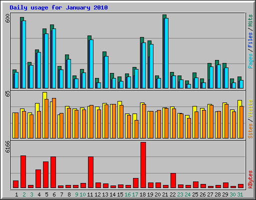 Daily usage for January 2010