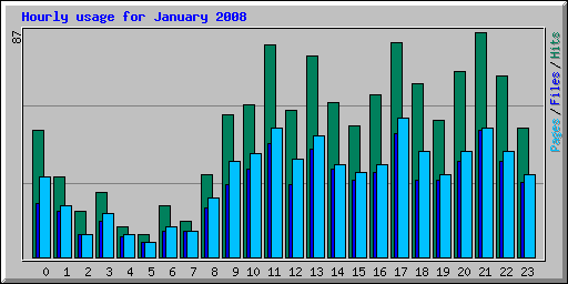 Hourly usage for January 2008
