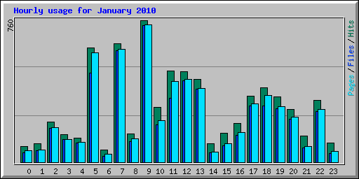 Hourly usage for January 2010